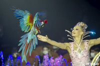 Шоу фонтанов «13 месяцев» в Тульском цирке – подарите себе и близким путевку в сказку!, Фото: 28