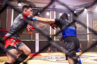 Турнир по ММА памяти Алексея Калинина собрал лучших бойцов страны: фоторепортаж, Фото: 47