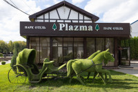 Кимовск-Донской-Новомосковск-Узловая, Фото: 3