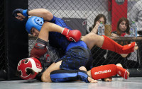В Новомосковске прошел Чемпионат и Первенство Тульской области по ММА, Фото: 206