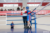 В Тульской области проходит областное первенство по боксу, Фото: 17