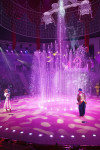 Премьера в Тульском цирке: шоу фонтанов «13 месяцев» удивит вас!, Фото: 43