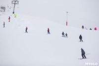 День снега в Некрасово, Фото: 23