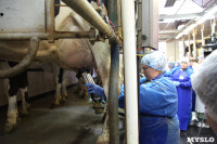 Конкурс профессионального мастерства среди операторов машинного доения коров, Фото: 40