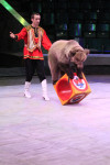 Цирк «Вива, Зорро!» в Туле , Фото: 1