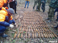 Под Тулой поисковики нашли более 170 единиц боеприпасов времен ВОВ, Фото: 7