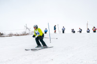 Третий этап первенства Тульской области по горнолыжному спорту., Фото: 63