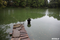 Загрязнение прудв в Платоновском парке, Фото: 5