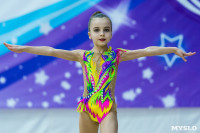 Тула провела крупный турнир по художественной гимнастике, Фото: 28