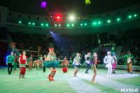 "Тайна пирата" в Тульском цирке, Фото: 38