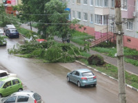 Ураган в Ефремовском районе, Фото: 1