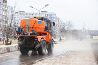 Илья Беспалов проинспектировал состояние общественных пространств Тулы после зимы, Фото: 19