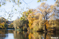 Золотая осень в Ясной Поляне, Фото: 67