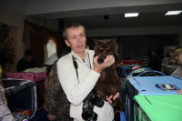 В Туле прошла международная выставка кошек, Фото: 73