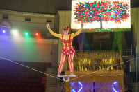 Цирковое шоу Вместе целая страна, Фото: 30
