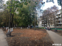 Открытие сквера на проспекте Ленина,133. 1.10.2015, Фото: 1
