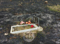 Сгоревшее кладбище в Алексине, Фото: 23
