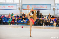 Соревнования по художественной гимнастике "Тульский сувенир", Фото: 61