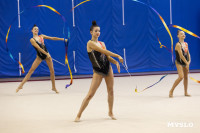 В Туле стартовало первенство Центрального федерального округа по художественной гимнастике, Фото: 66