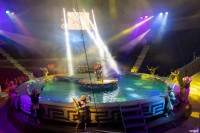 В Тулу приехал цирковой мюзикл на воде «Одиссея», Фото: 8