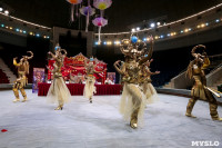 Грандиозное цирковое шоу «Песчаная сказка» впервые в Туле!, Фото: 27