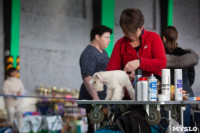 Выставка собак в Туле 24.11, Фото: 10