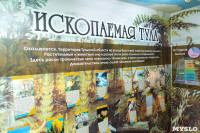 Тульская область – дно древнего моря: о его обитателях рассказывает новая выставка в экзотариуме, Фото: 35