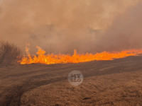 В Федоровке огонь с горящего поля едва не перекинулся на дома, Фото: 13