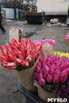 Продажа цветов возле помойки, Фото: 4