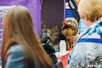 Выставка кошек "Конфетти", Фото: 13