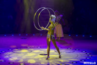 Шоу фонтанов «13 месяцев» в Тульском цирке – подарите себе и близким путевку в сказку!, Фото: 47