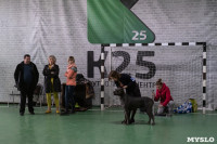 Выставка собак в Туле 24.11, Фото: 69