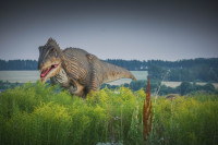 Парк динозавров, Фото: 8