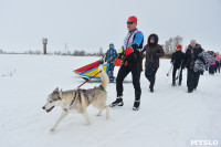 Праздник северных собак на Куликовом поле , Фото: 70