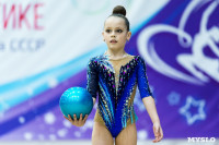 Тула провела крупный турнир по художественной гимнастике, Фото: 167