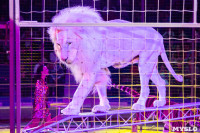 На каникулах – в Цирк больших зверей, Фото: 15