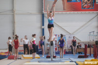 Первенство ЦФО по спортивной гимнастике среди юниорок, Фото: 99