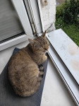 , Фото: 1