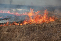 Возгорание сухой травы напротив ТЦ "Метро", 7.04.2014, Фото: 13