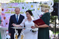 Единая регистрация брака в Тульском кремле, Фото: 5