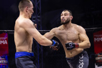 Битва за Тулу-2026, Фото: 239