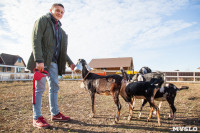Семён Яблоновский и его ферма, Фото: 14
