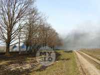 В Туле загорелось поле, Фото: 18