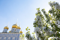 Цветущая Тула, Фото 39