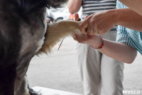 В тульском «Макси» прошел благотворительный фестиваль помощи животным, Фото: 31