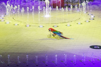 Премьера в Тульском цирке: шоу фонтанов «13 месяцев» удивит вас!, Фото: 13