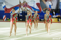 Всероссийские соревнования по художественной гимнастике на призы Посевиной, Фото: 20