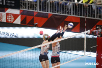 «Тулица» проиграла волейболисткам из Московской области, Фото: 124