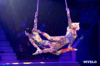 Цирковое шоу Жар птица, Фото: 58