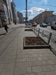 В Туле гибнут деревья, Фото: 9